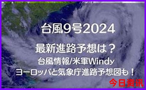 湿地公园有哪些好玩的景点